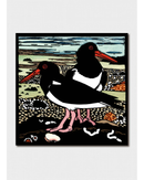 two-oyster-catchers