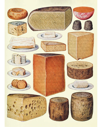 types-of-cheese