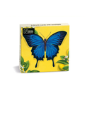 ulysses-butterfly-mini-notecard-x8