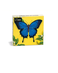 ulysses-butterfly-mini-notecard-x8