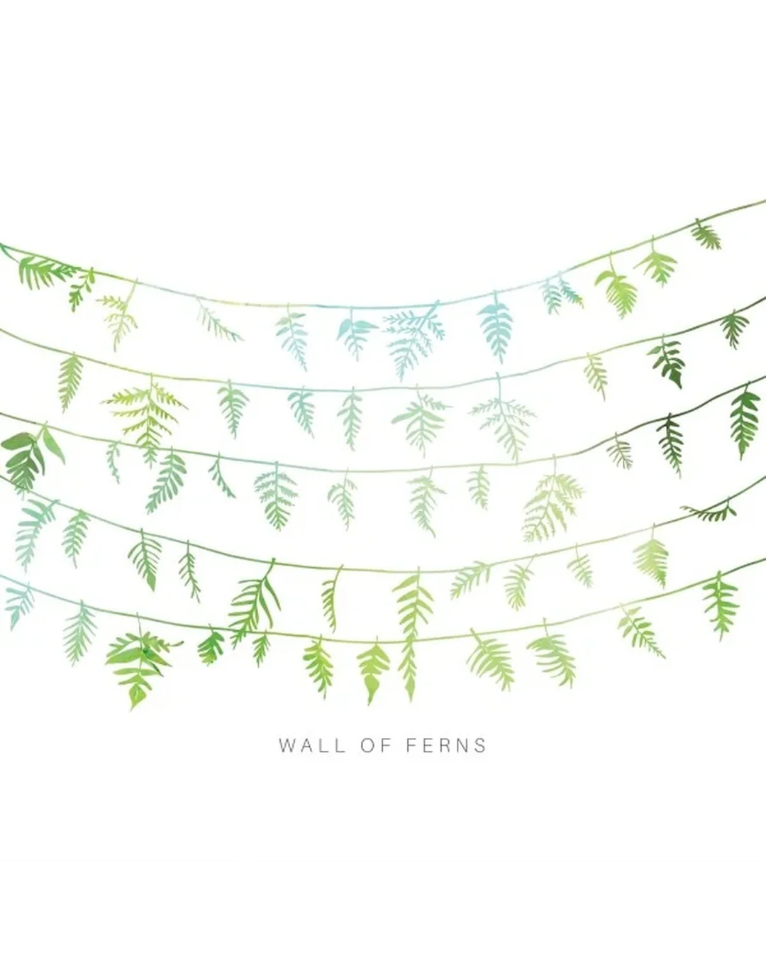 Wall Of Ferns