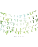 Wall Of Ferns