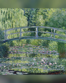 waterlily-pond-green-harmony