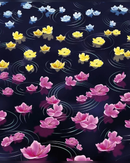 waterlily-rainbow