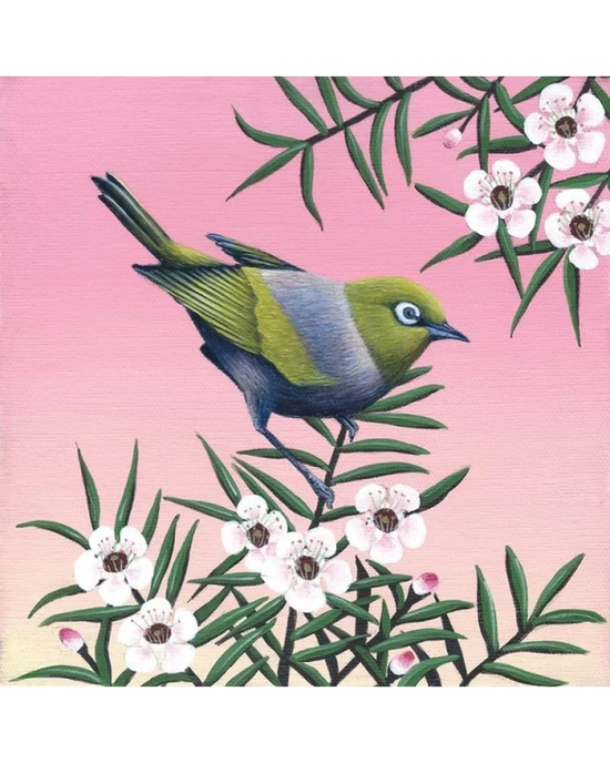Waxeye On Manuka