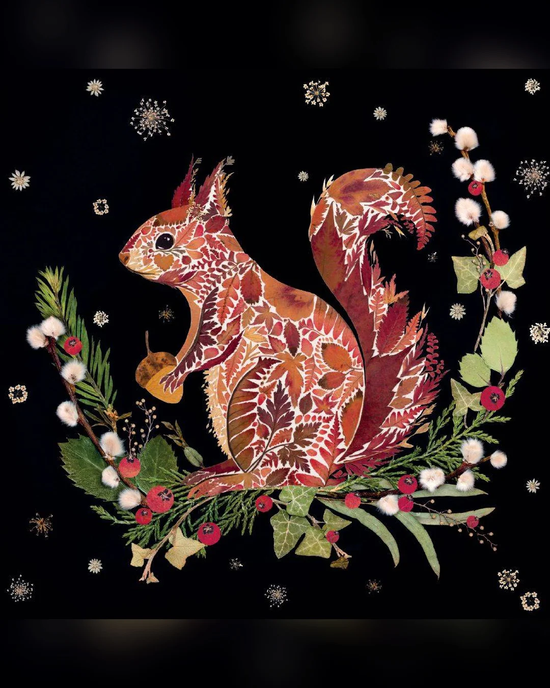 Winter Squirrel 8 Pkt - Christmas Card Pack