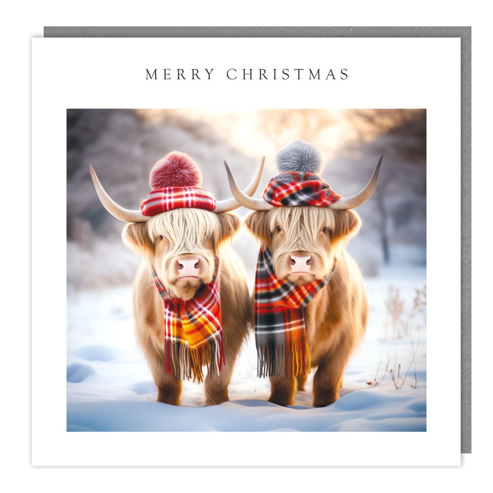 Two Highland Cows Christmas Card