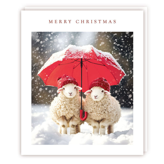 Two Sheep and an Umbrella Christmas Card