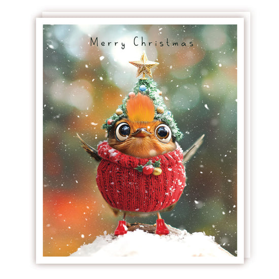 Fluffy Robin Christmas Card - Fluff