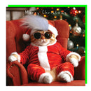 Cozy Cool Cat Christmas card with ginger cat in red festive outfit and sunglasses