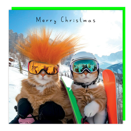 Cats on the Piste Christmas Card