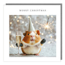 Celebrating Guinea Pig Christmas card with guinea pig in silver party hat holding a sparkler