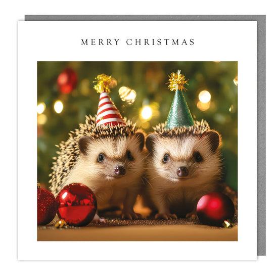 Party Hedgehogs Christmas Card