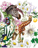 zebra-collage