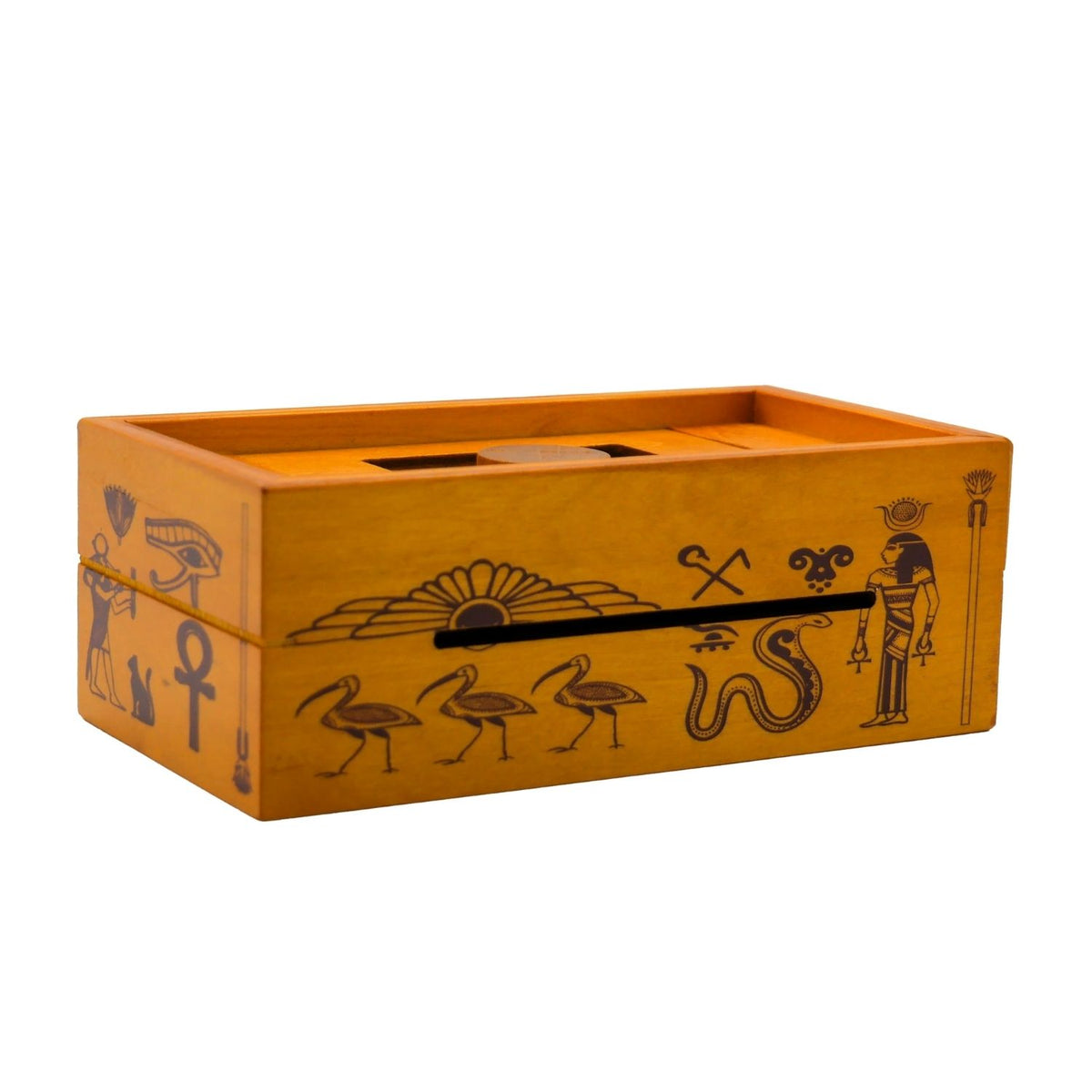 Project Genius Pharaoh's Tomb Secret Puzzle Box Mechanical Puzzles