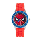 Time Teacher Spiderman