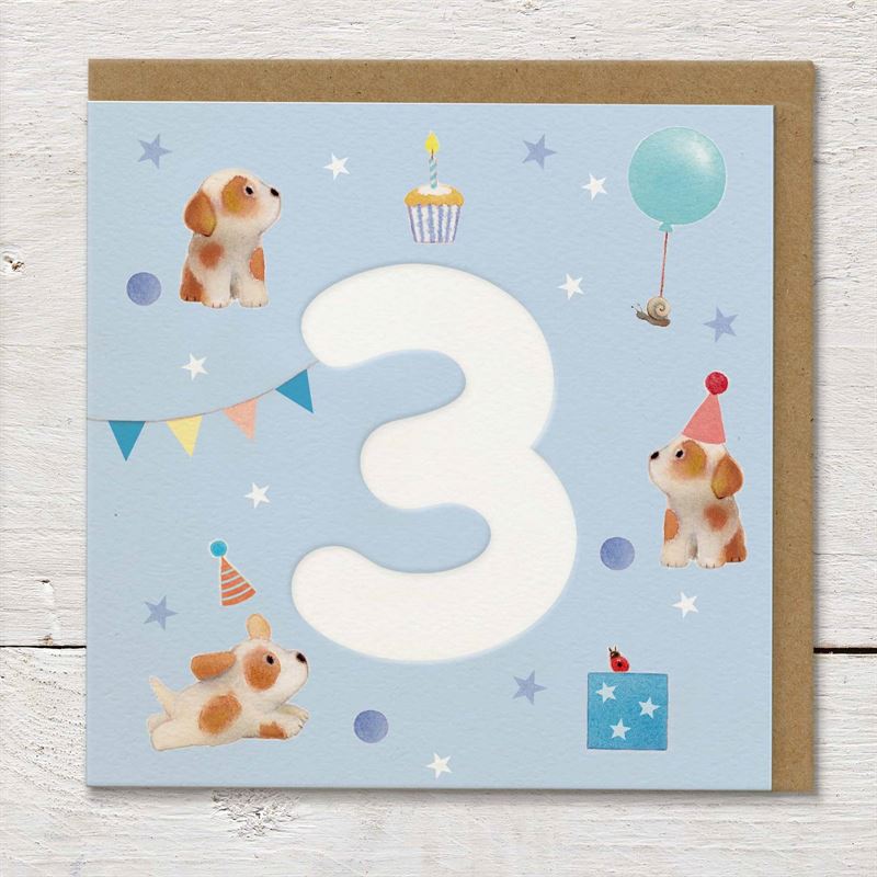 Puppy Party - 3rd Birthday Card