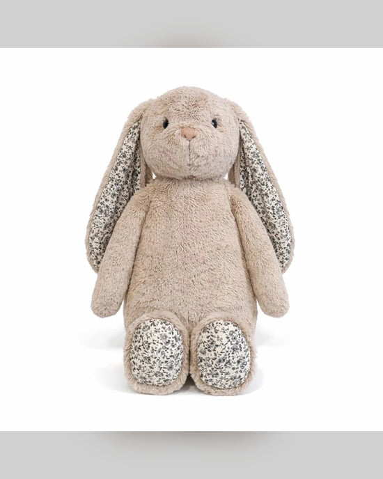 Alfie the Bunny