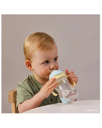 B.BOX Sippy Cup Looney Tunes - Bugs