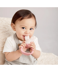 B.BOX Chill + Fill Teether - Blush