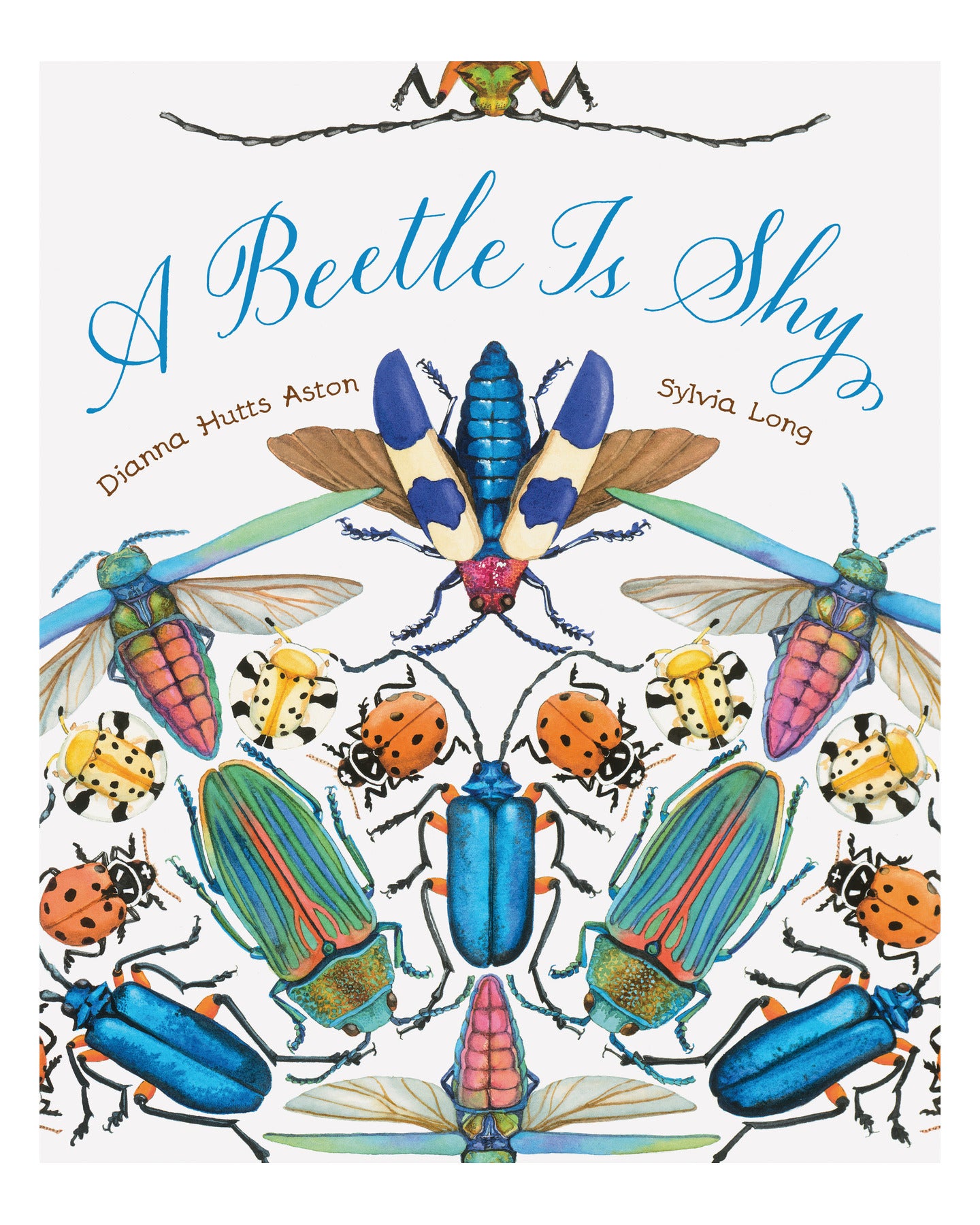 Beetle Is Shy by Dianna Hutts Aston