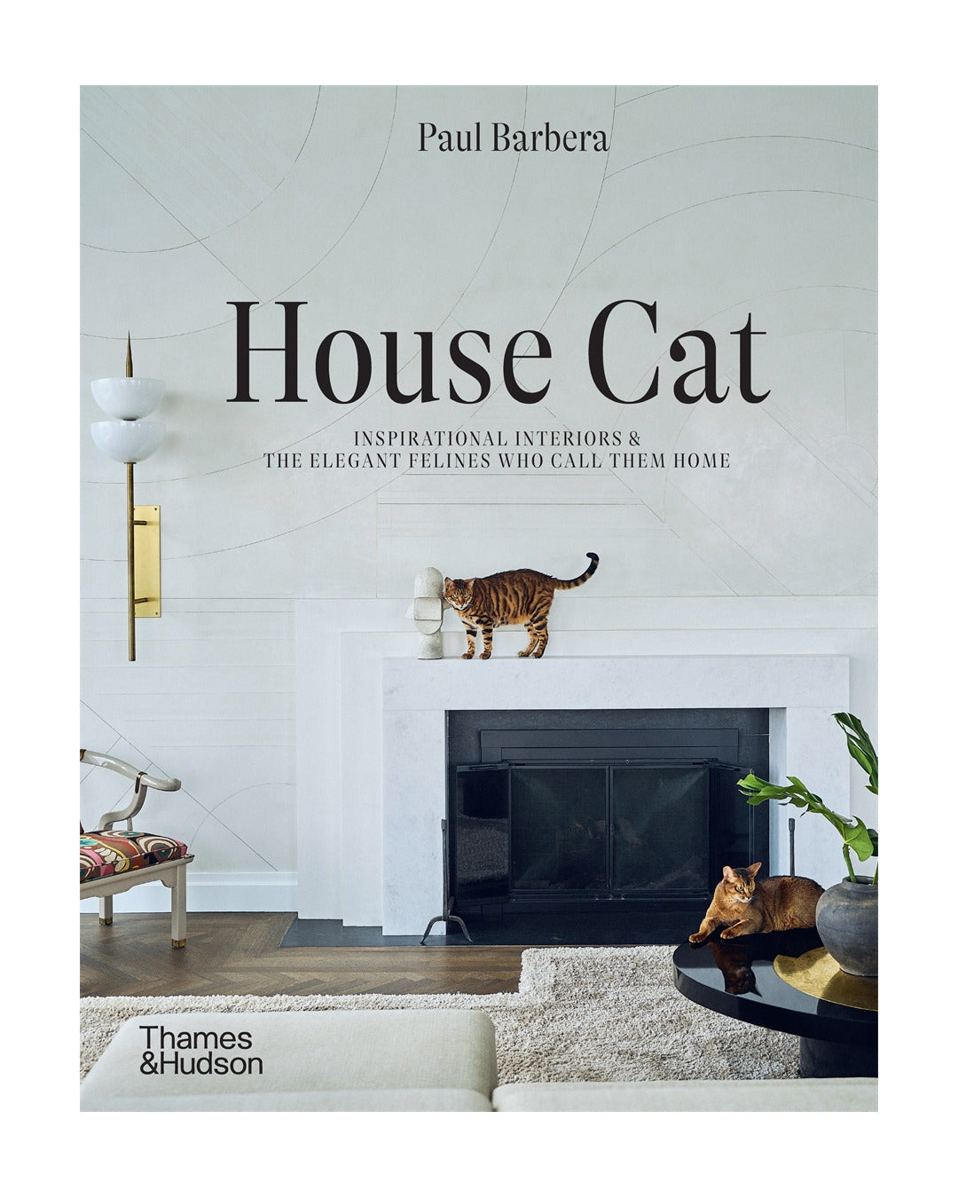 House Cat by Paul Barbera