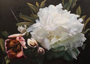 coconut-ice-lynley-brownridge