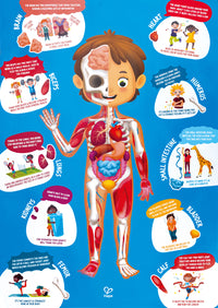 hape-50pc-human-body-puzzle