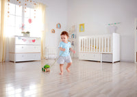 hape-frog-pull-along