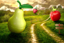 hape-healthy-fruit-playset