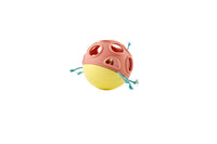 hape-busy-bug-roll