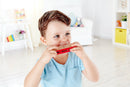 hape-blues-harmonica