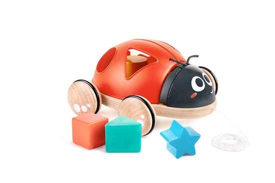 Hape Shape-Sorter Ladybug