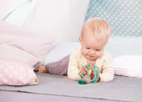 hape-apple-grab-toy