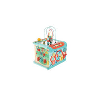 hape-explore-and-learn-magic-cube