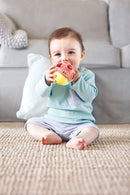 hape-busy-bug-roll