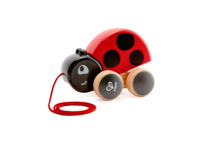 hape-lady-bug-pull-along