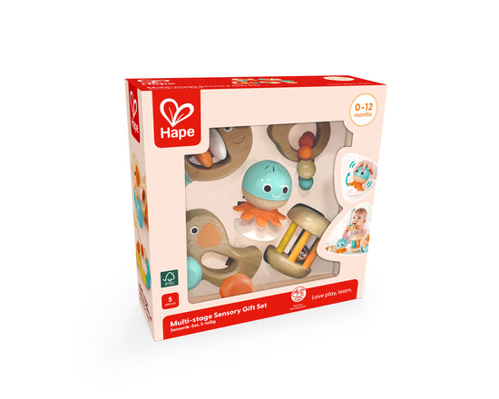 Hape Multi Stage Sensory Gift