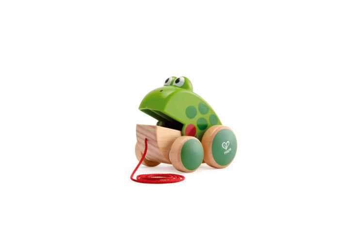 hape-frog-pull-along