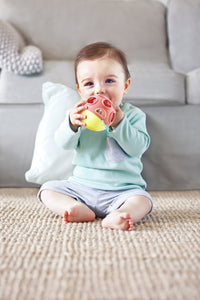 hape-busy-bug-roll