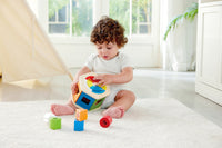hape-wooden-wonder-shape-sorter