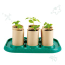 hape-growing-gardeners-green-house