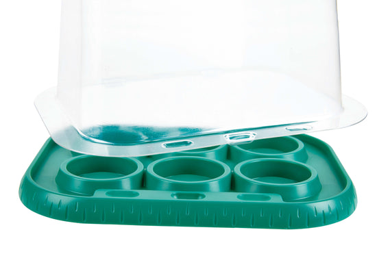 Hape Growing Gardeners Green house