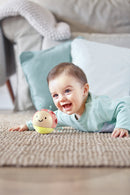 hape-busy-bug-roll