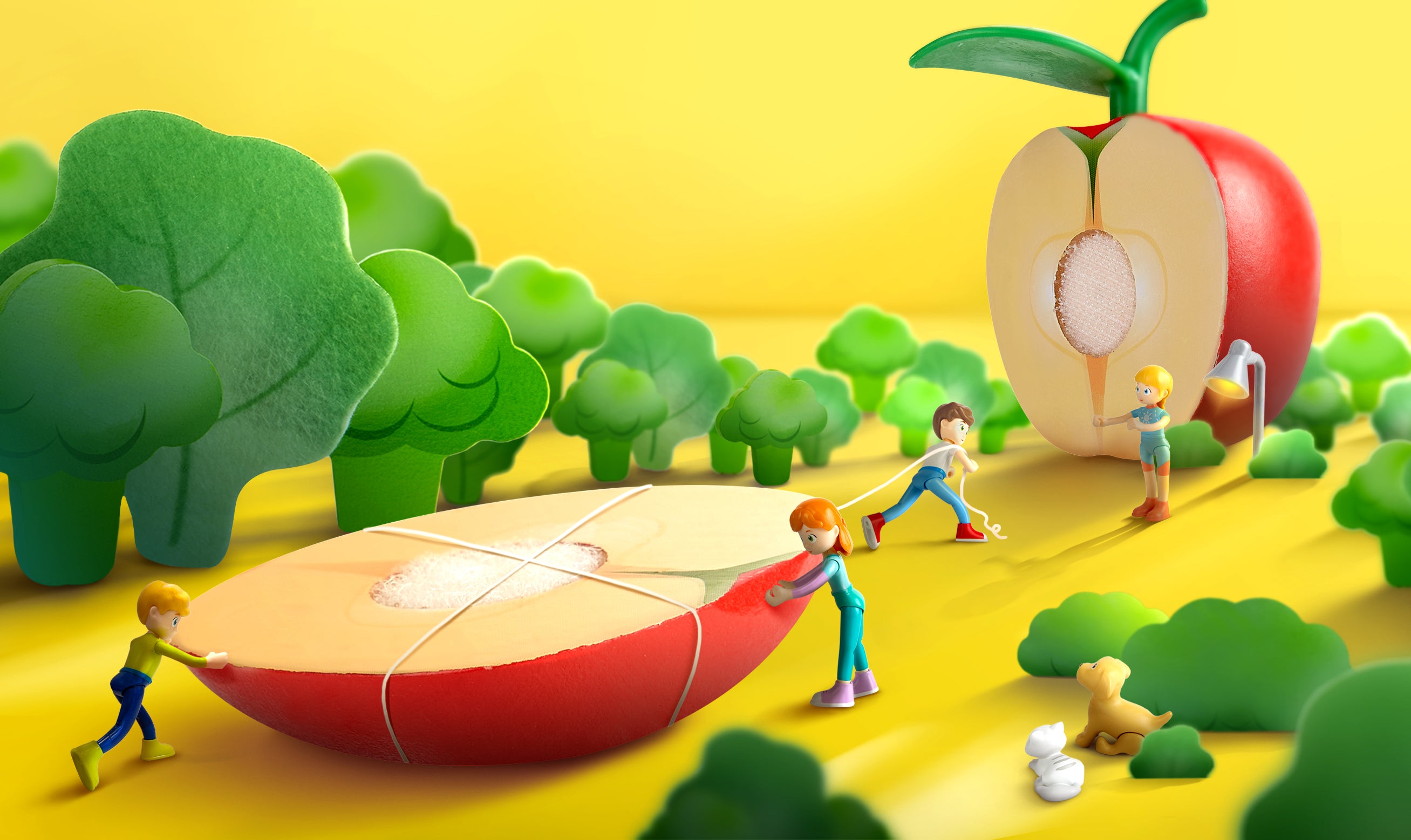 hape-healthy-fruit-playset