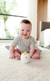 hape-roll-n-hatch
