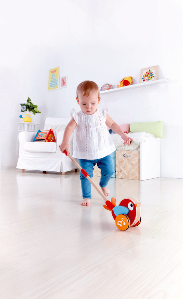 hape-lilly-musical-push-along-pepe-and-friends