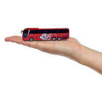 City MAN Busses