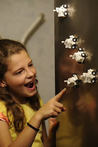 Fridge Rover