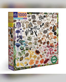 eeBoo 1000pc Puzzle: Mushroom Rainbow
